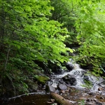 Camping Sauvage Kalina Stream