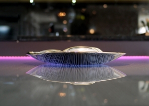 Tendances Concept assiette bas
