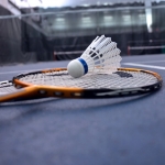 Tennis 13 badminton