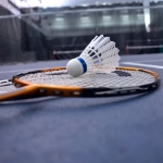 Tennis 13 Badminton